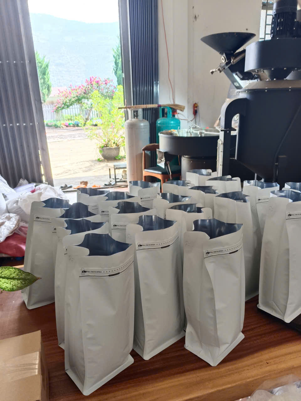 12 hecta đồi cà phê Lien Dong Coffee tại Lâm Hà