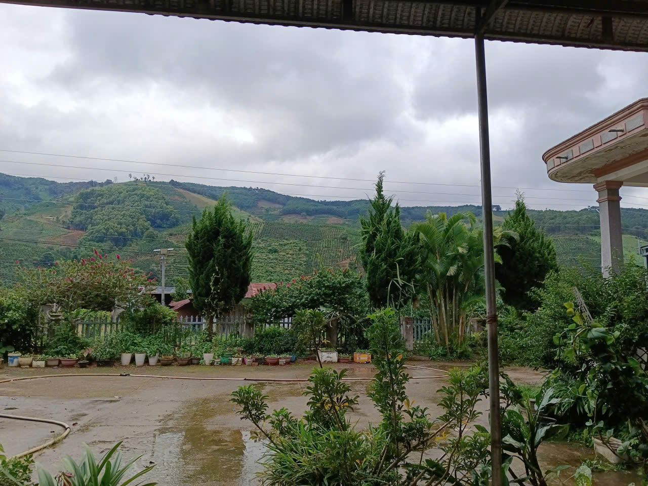 Người chăm sóc vườn
