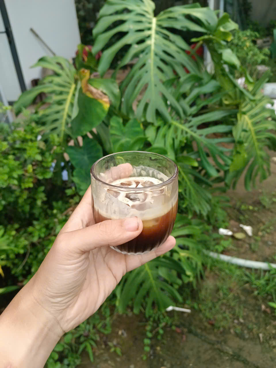 Cầm tách cà phê tại vườn